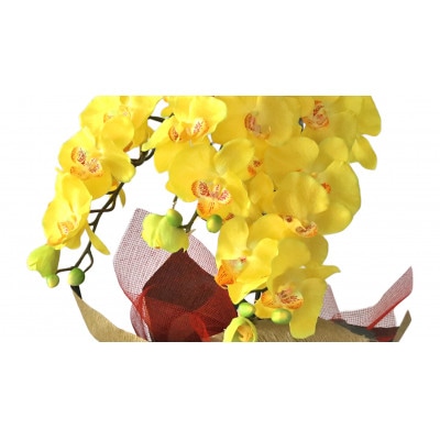 造花 シルクフラワーの胡蝶蘭の鉢植え 3本立 CT触媒 イエロー