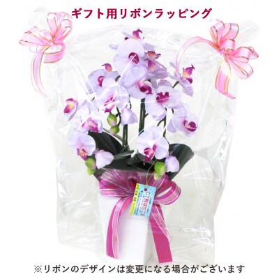 胡蝶蘭 造花 シルクフラワーのミニ胡蝶蘭の鉢植 3本立 CT触媒 ライトパープル