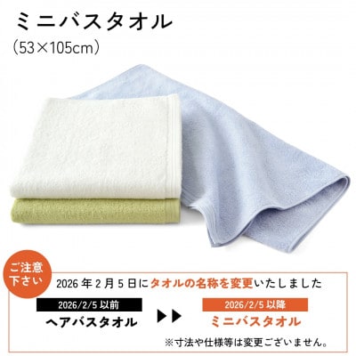 【1秒タオル】ホットマンカラー12  ミニバスタオル2枚セット