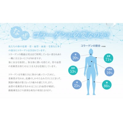 ドクターウェルネス ナチュラルマリンコラーゲン パウチ