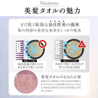 BIHATSU TOWEL 2枚入りギフトセット【ベージュ】