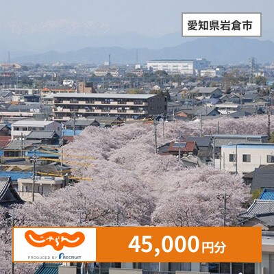 【じゃらんふるさと納税クーポン】 愛知県岩倉市でつかえる45,000円 クーポン