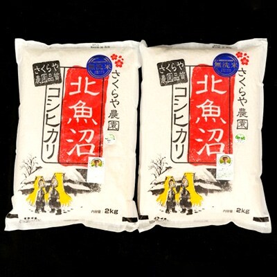 【令和4年産】北魚沼コシヒカリ【無洗米】2kg×2袋【贈答用にもどうぞ】
