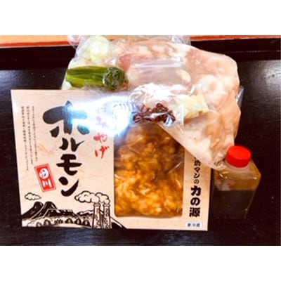 【道の駅おおとう桜街道限定商品】田川ホルモン鍋セット2人前&味付ホルモン3人前
