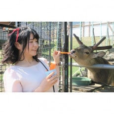 栗山公園「なかよし動物園」パクパクタイム回数券(11回分)2枚セット