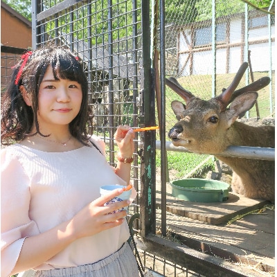 栗山公園「なかよし動物園」パクパクタイム回数券(11回分)3枚セット