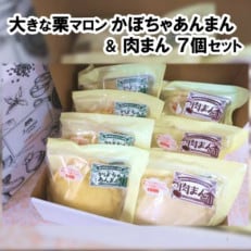 北海道産具材の大きな栗マロンかぼちゃあんまん&肉まん7個セット