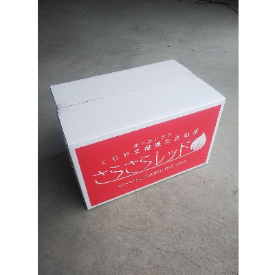 くりやま健康タマネギ　「さらさらレッド」約20kg