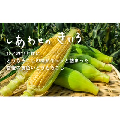【2025年8月中旬より発送】大地の恵み「とうもろこし(イエロー)」7本