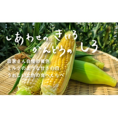 【2025年8月中旬より発送】大地の恵み「とうもろこし2色セット」14本