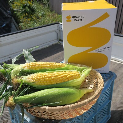 22年8月上旬より発送 北海道産とうもろこし ホワイト イエローセット 計16本 お礼品詳細 ふるさと納税なら さとふる