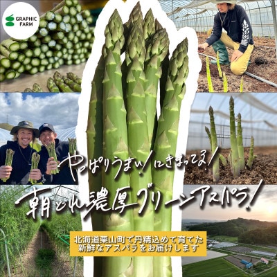 <予約>朝どれ濃厚グリーンアスパラ800g 2L～L(夏アスパラ) 北海道栗山町産