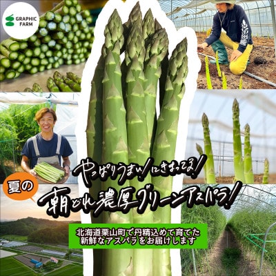 <予約>朝どれ濃厚グリーンアスパラ800g2L～L(夏アスパラ) 北海道栗山町産