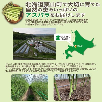 <予約>朝どれ濃厚グリーンアスパラ800g 2L～L(夏アスパラ) 北海道栗山町産