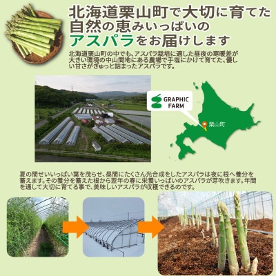 <予約>朝どれ濃厚グリーンアスパラ800g3L～L(春アスパラ) 北海道栗山町産