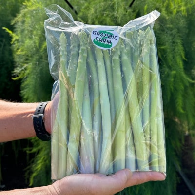 <予約>朝どれ濃厚グリーンアスパラ800g 2L～L(夏アスパラ) 北海道栗山町産
