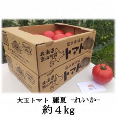 大玉トマト「麗夏(れいか)」約4kg