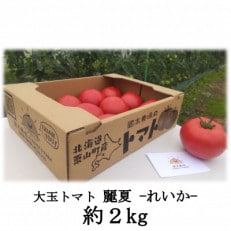 大玉トマト「麗夏(れいか)」約2kg