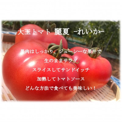 大玉トマト「麗夏(れいか)」約2kg