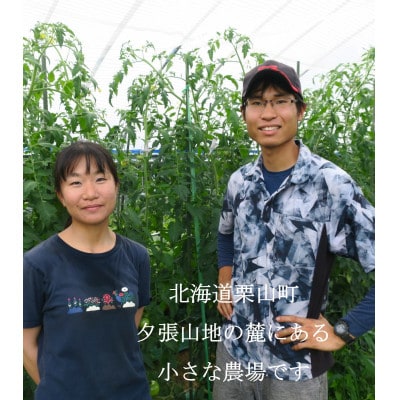 大玉トマト「麗夏(れいか)」約2kg