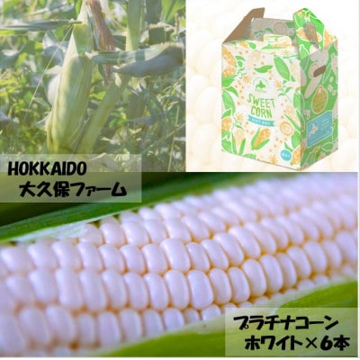 【先行受付】HOKKAIDO 大久保ファーム　プラチナコーンX　ホワイト6本