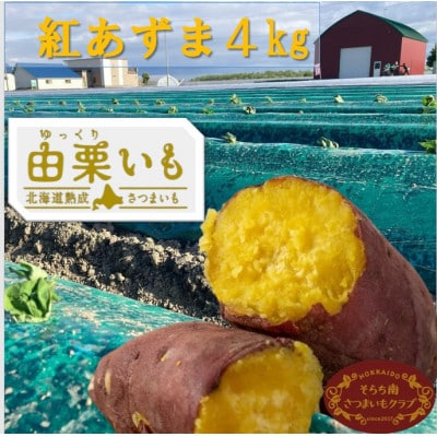 2025年秋収穫分先行受付「由栗いも(ゆっくりいも)」北海道産さつまいも(紅あずま)4kg　