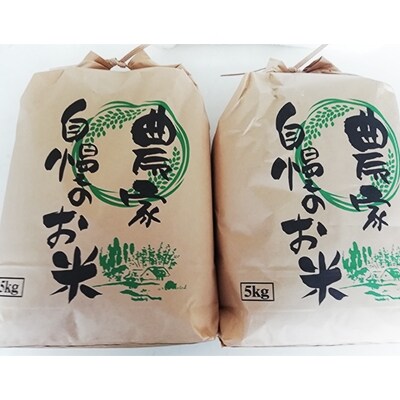 いくひかり　10kg(2022年度産)(美浜町)