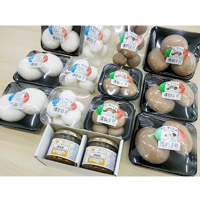 よし!もっとマッシュルーム食べようセット