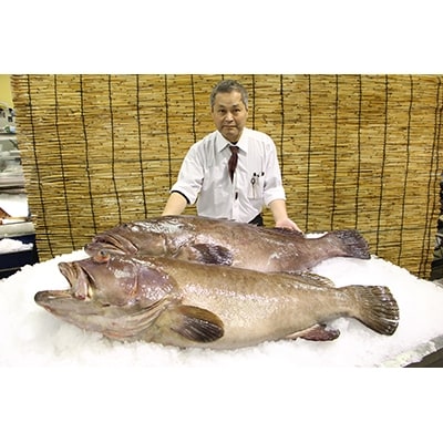 長崎県産天然九絵の鍋セット