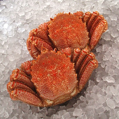 北海道白老町・太平洋産毛ガニ 特大700～800g 2尾