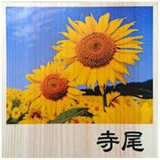 木製画像付き表札(正方形)