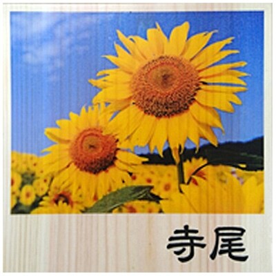 木製画像付き表札(正方形)