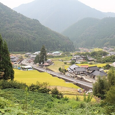 のびがちがう!「和の里」の杵つき餅セット(白6個×3袋、よもぎ6個×1袋)