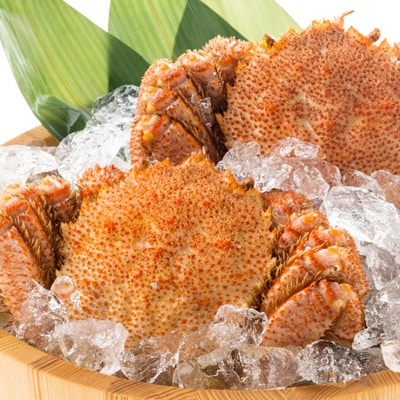【厳選三特品(特特特)】北海道噴火湾産毛ガニ 500g前後×2杯 