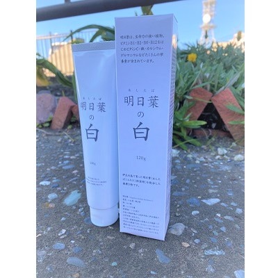歯磨き粉