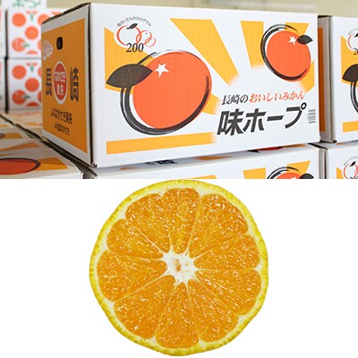 長崎の美味しいみかん JAながさき県央 味ホープ
