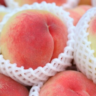 【産直】和歌山のブランド桃(あら川の桃)約2kg・秀選品