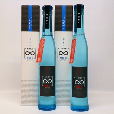 球磨焼酎　堤酒造　無限大 300ml×2本