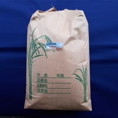 【令和4年産】大和米　奈良県広陵町産　もち白米30kg