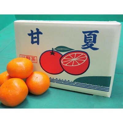 甘夏　LもしくはLL　約10kg入り(24個～30個)