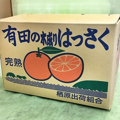 完熟!!　木成りはっさく　秀品　L以上の大玉10kg箱(24～35玉)