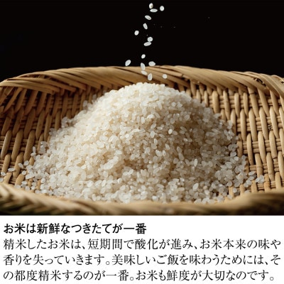 精米機『新鮮風味づき』無水米とぎコース付き(1～5合)SM-500W