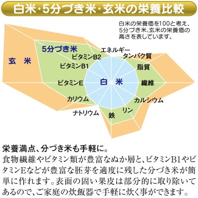 精米機「新鮮風味づき」SM-500W (1～5合)　※無水米とぎコース付き