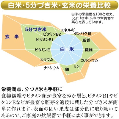 小型精米機「RICELON」(0.5～2合) SM-201K 無洗米コース付き