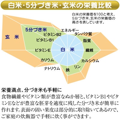 小型精米機 「RICELON」(0.5～2合) SM-201W 無洗米コース付