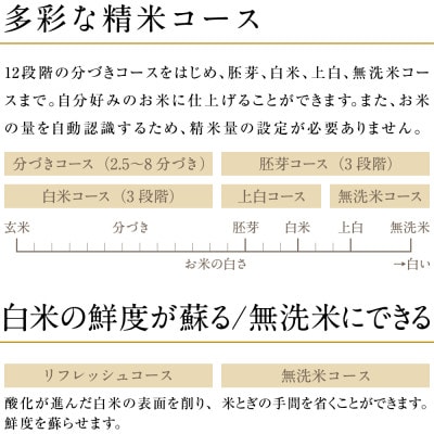 小型精米機 「RICELON」(0.5～2合) SM-201W 無洗米コース付