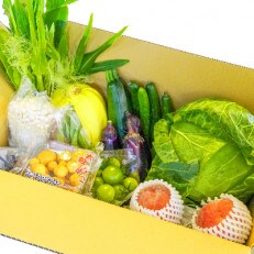 【産地直送新鮮野菜】長野県産　信州盛りだくさん野菜セット