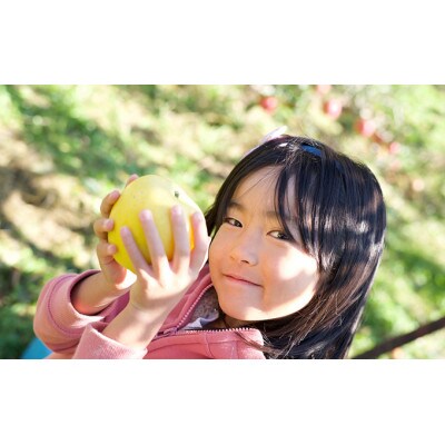 【11月中旬より順次発送】信州名月オバステりんご(贈答用ふじ)約10kg