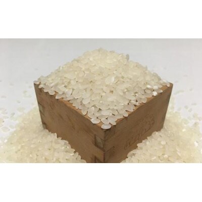 【令和4年産】信州名月　オバステ観月米　5kg | ふるさと納税のお礼品