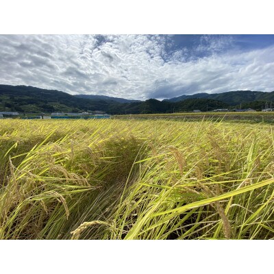 【令和4年産】信州名月　オバステ観月米　5kg